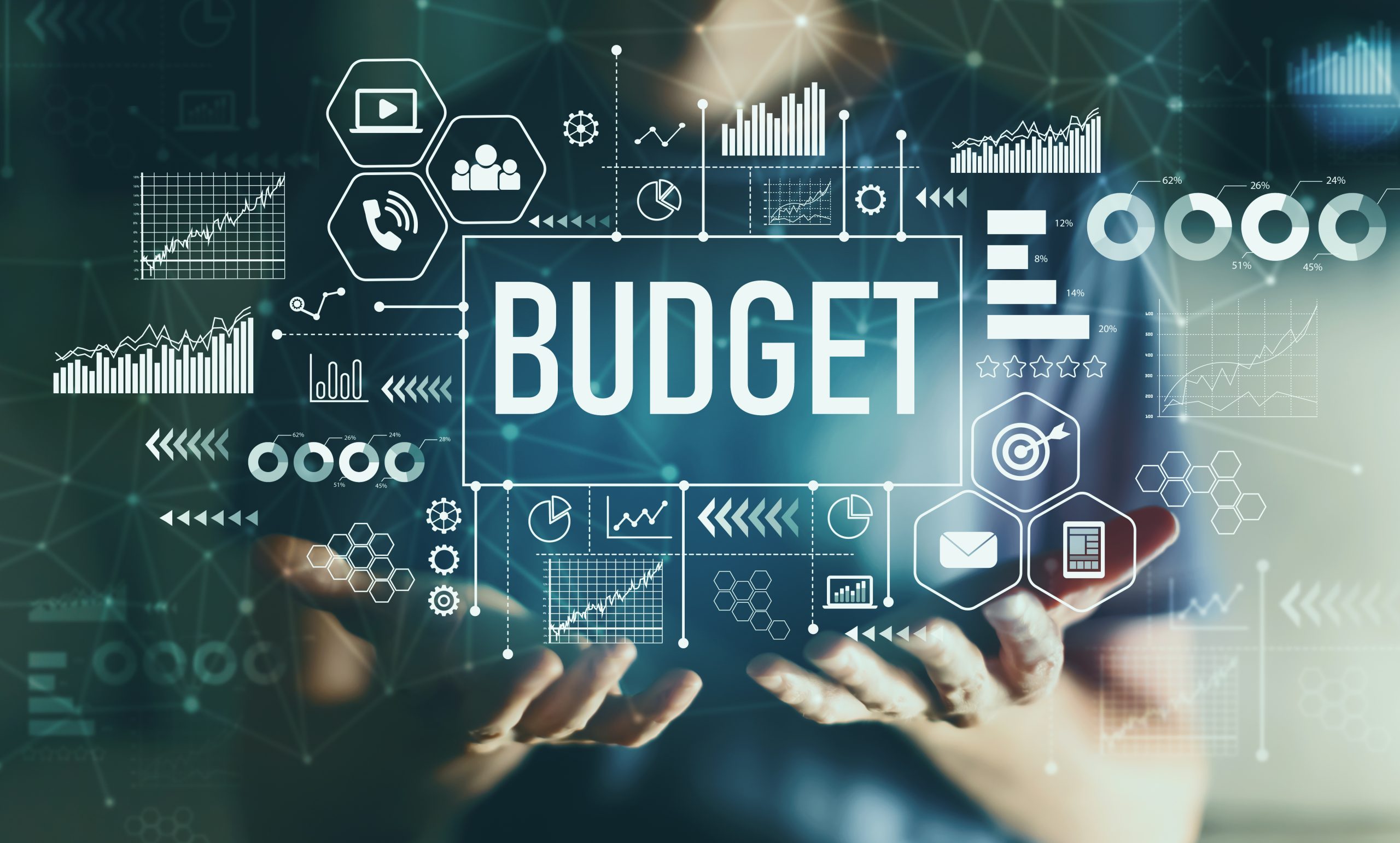 Budget with young man
