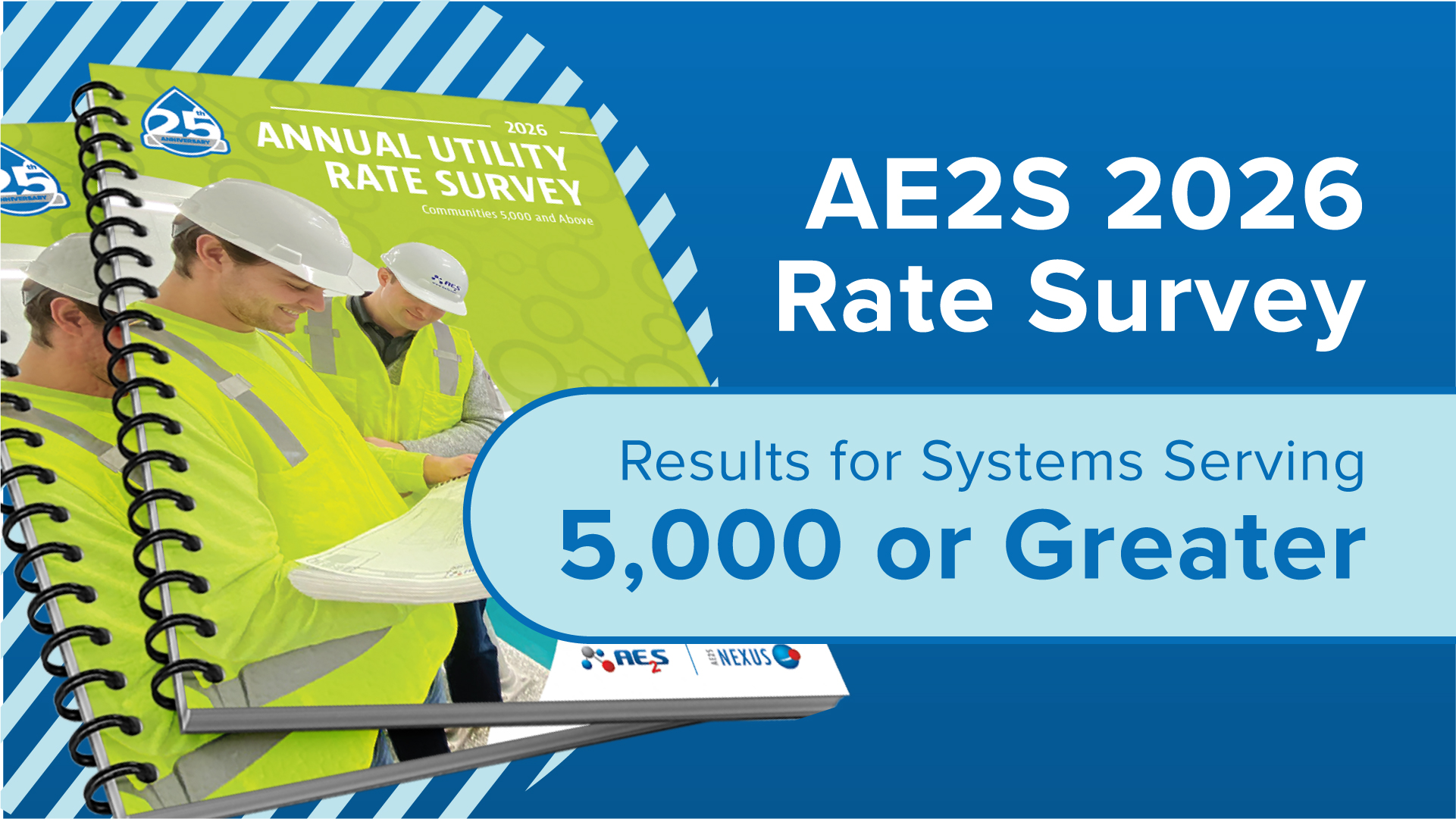 AE2S 2026 Large System Rate Survey Results Large Rate Survey Cover (1)